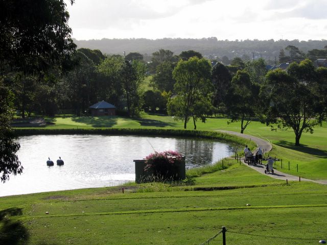 Merewether Golf Course - Adamstown: View of green and dam