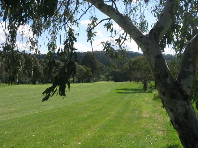 Mitta Mitta Golf Course Hole By Hole - Mitta Mitta: Approach to the green on Hole 2.
