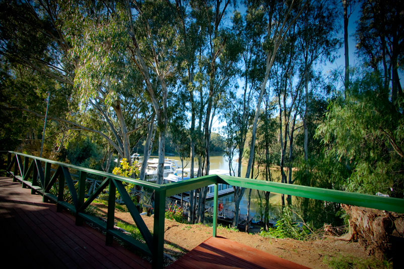 Merool on the Murray - Moama: View from River Studio verandah
