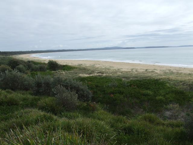 North Head Primitive Campground - Moruya Heads: Nice beach if you walked it's length you would end up at Broulee another gem of the far south coast.this beach is right next to the camp as  is the breakwall