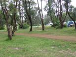 North Head Primitive Campground - Moruya Heads: plenty of shady trees that a not too big
