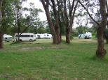 North Head Primitive Campground - Moruya Heads: the more level sites