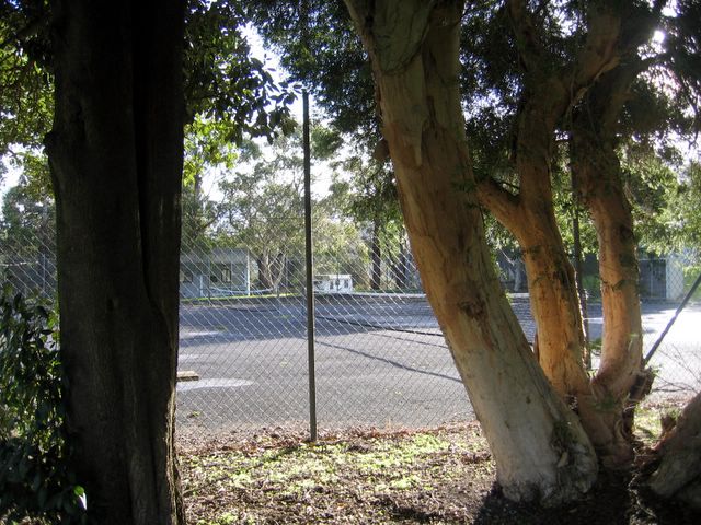 Big4 Blue Lake Holiday Park - Mount Gambier: Tennis Court