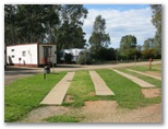 Narrandera Caravan Park - Narrandera: Drive through powered sites for caravans