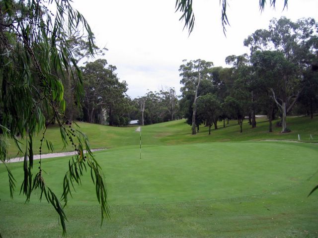 Nelson Bay Golf Course - Nelson Bay: Green on Hole 19 looking back along fairway