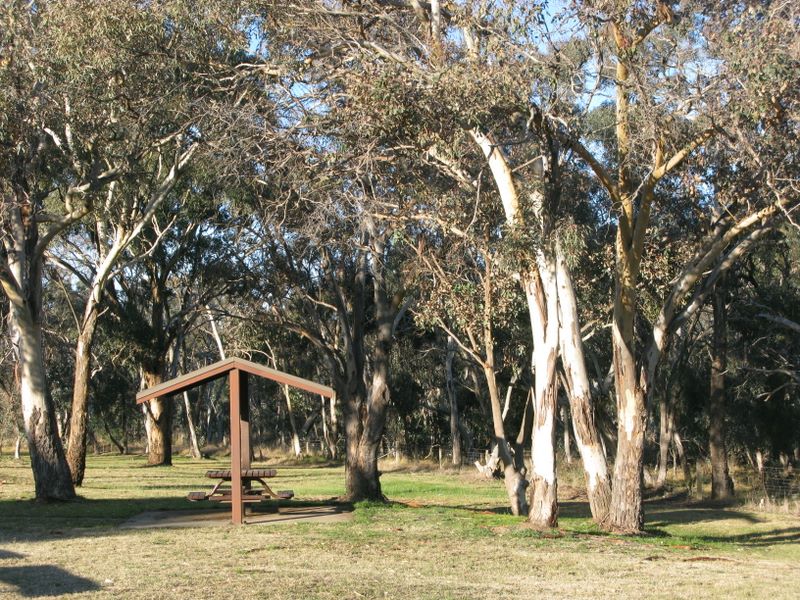 ACT Border Rest Area - Nicholls: Picnic area in bushland setting