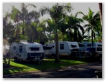 Noosa Caravan Park - Noosa: Powered sites for caravans among the palm trees
