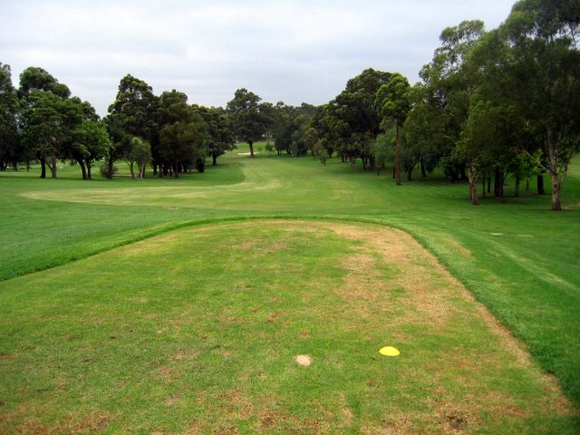 North Ryde Golf Course - North Ryde Sydney: Fairway view Hole 1