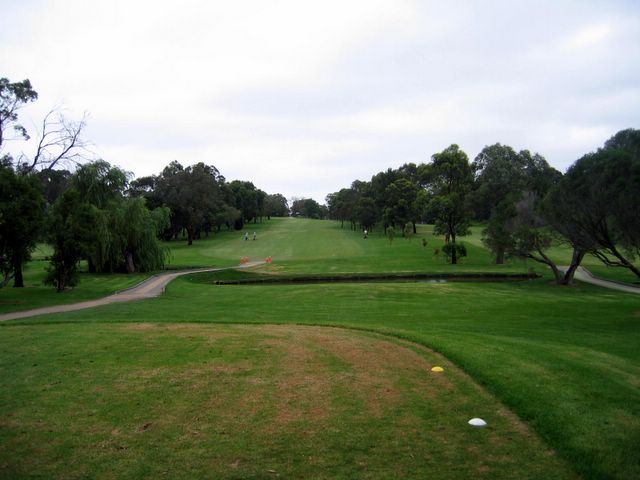North Ryde Golf Course - North Ryde Sydney: Fairway view Hole 5