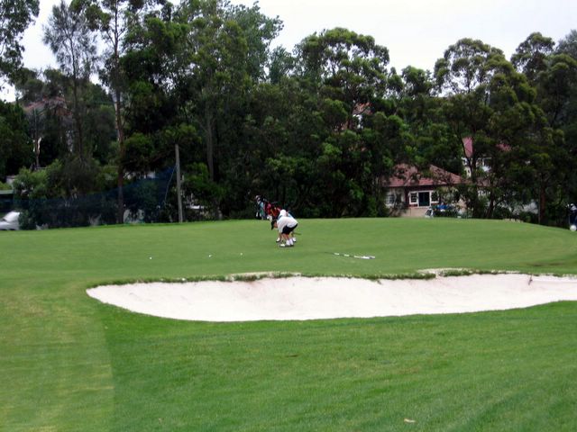 North Ryde Golf Course - North Ryde Sydney: Green on Hole 6