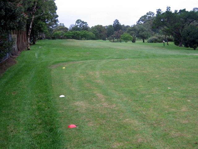 North Ryde Golf Course - North Ryde Sydney: Fairway view Hole 8