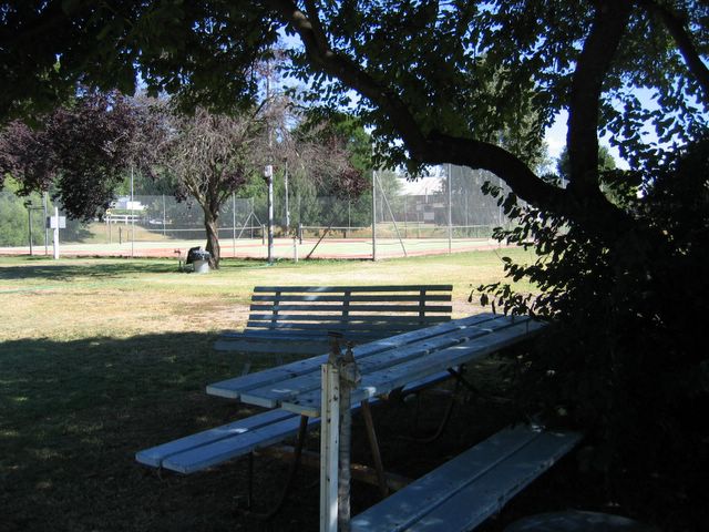 Fossickers Tourist Park - Nundle: Shady picnic area with tennis courts in the background