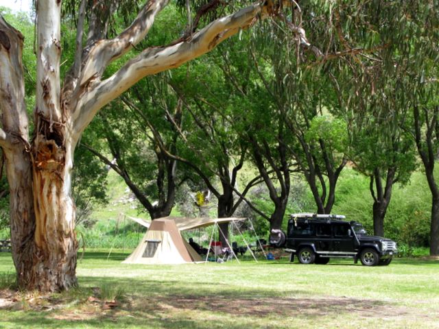 Omeo Caravan Park - Omeo: Area for tents and camping