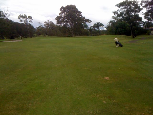 Parkwood International Golf Course - Parkwood, Gold Coast: Approach to the green on Hole 5