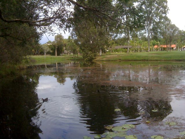 Parkwood International Golf Course - Parkwood, Gold Coast: Lots of water around the course