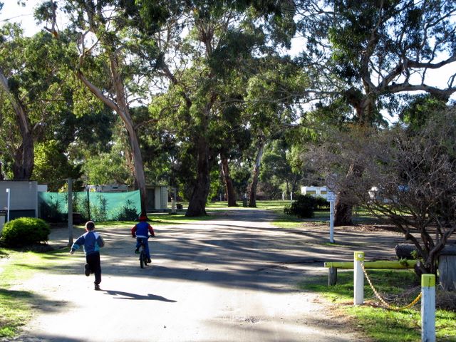 Port Albert Seabank Caravan Park - Port Albert: Good roads throughout the park