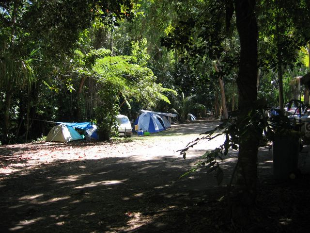 Pandanus Caravan Park - Port Douglas: Area for tents and camping