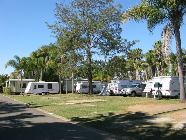 Melaleuca Caravan Park - Port Macquarie: Powered sites for caravans