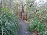 Melaleuca Caravan Park - Port Macquarie: Lovely walk at Macquarie nature reserve