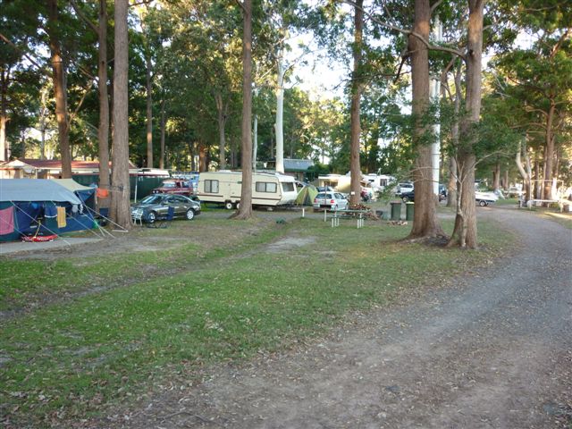 Riverlodge Tourist Village - Port Macquarie: Shady powered sites for caravans