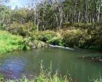 Tall Timbers Motel & Caravan Park - Ravenshoe: Magnificent streams and bush nearby