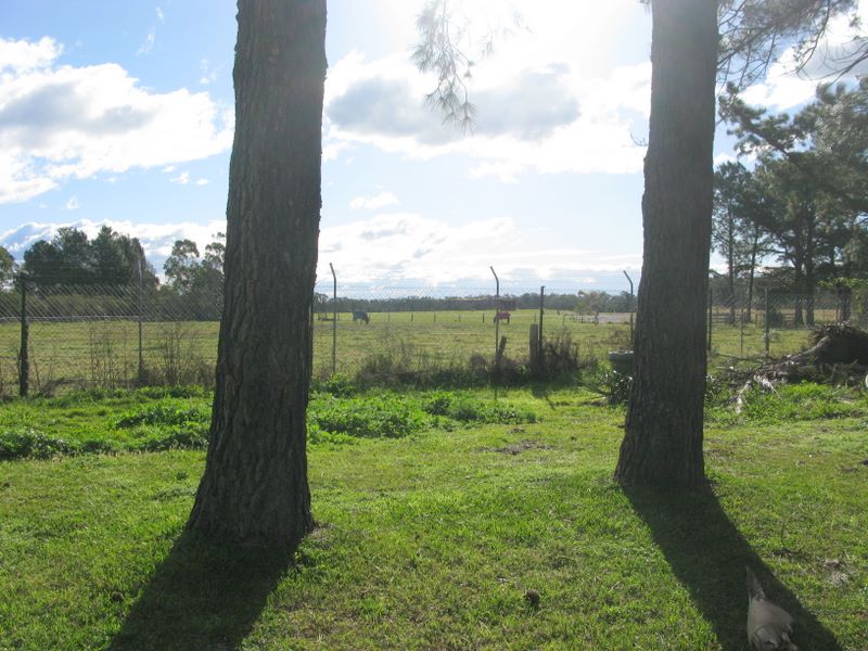 Bellhaven Caravan Park - Raymond Terrace: Views of open paddocks and cattle at rear of the park.