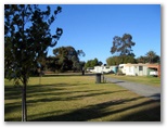 Riverside Caravan Park - Robinvale: Area for tents and camping