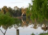 Riverside Caravan Park - Robinvale: Took this photo from my annex