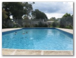 Carrington Caravan Park - Rosebud: Swimming pool