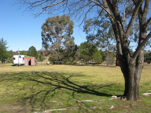 Rylstone Caravan Park - Rylstone: Area for tents and camping