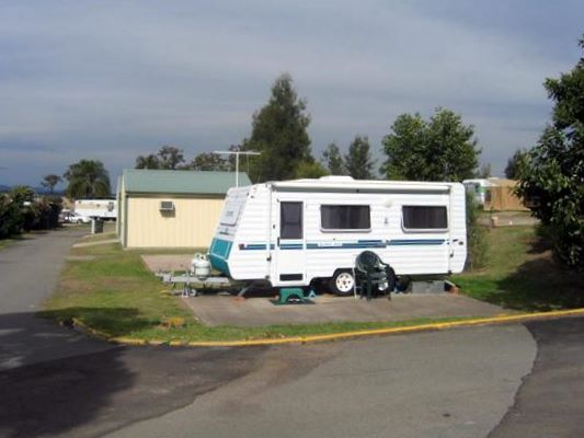 Country Acres Caravan Park - Singleton: Powered sites for caravans