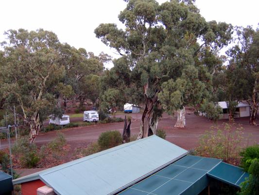 Spear Creek Caravan Park - Flinders Rangers: Shady powered sites for caravans