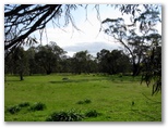 Stawell Park Caravan Park - Stawell: Area for tents and camping