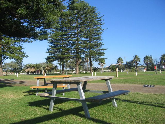 NRMA Sydney Lakeside Holiday Park - Narrabeen: Picnic area with view of powered sites