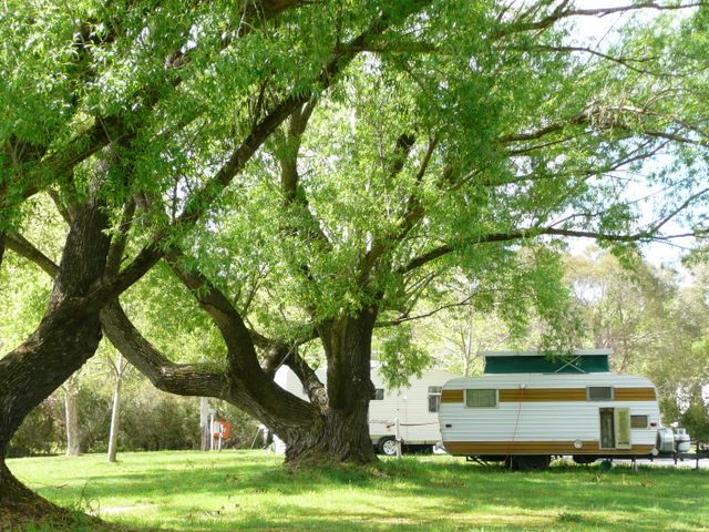 Tumbarumba Creek Caravan Park - Tumbarumba: Shady powered sites for caravans