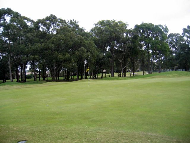 Coolangatta Tweed Heads Golf Course - Tweed Heads: Green on Hole 5
