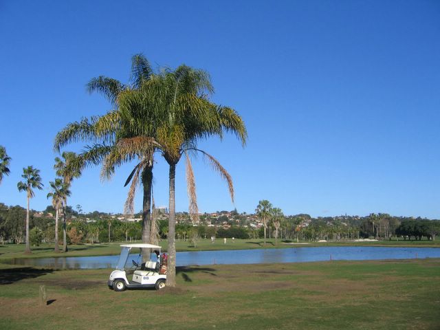 Twin Towns Golf Course - Banora Point: The course has delightful trees and lakes