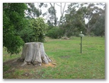 Wannon River Holiday Park - Wannon: Powered sites for caravans