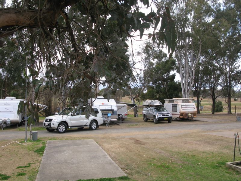 Kahlers Oasis Caravan Park - Warwick: Powered sites for caravans