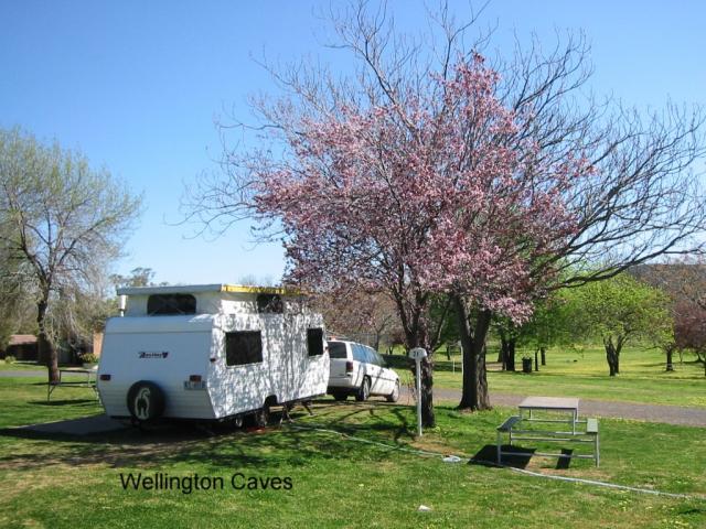 Wellington Caves Holiday Complex & Caravan Park - Wellington: Spring time