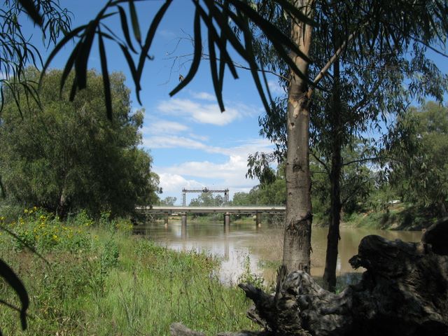 Victory Park Caravan Park - Wilcannia: The Darling River is adjacent to the park.
