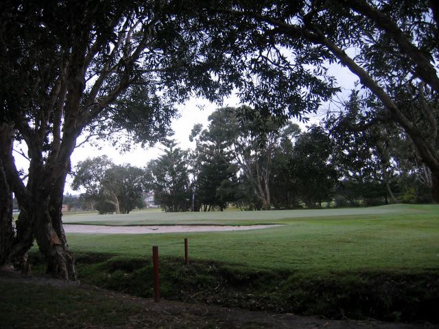 Yamba Golf Course - Yamba: 13th green with long bunkers.