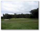 Yamba Golf Course - Yamba: Kangaroo on the 17th green.