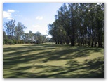 Yarrawonga & Border Golf Club - Mulwala: Shady majestic trees along the fairway