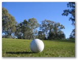 Yarrawonga & Border Golf Club - Mulwala: Fairway view Hole 11