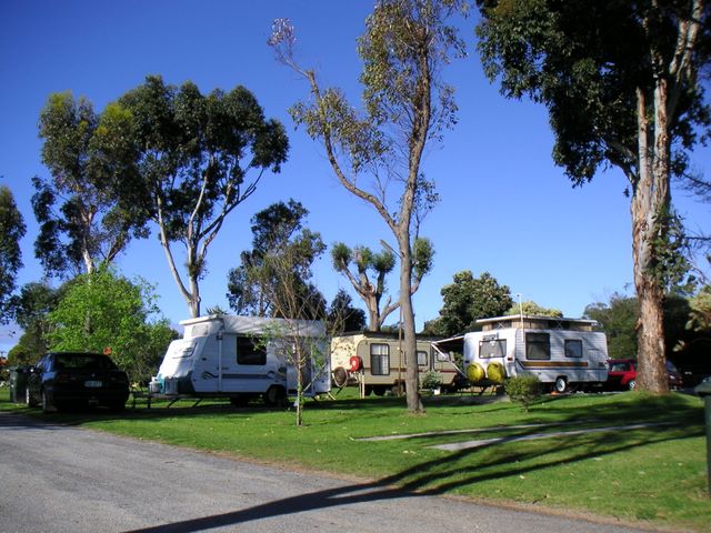 Albany Holiday Park - Albany: Powered sites for caravans