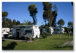 Albany Holiday Park - Albany: Powered sites for caravans