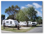 Albany Holiday Park - Albany: Shady powered sites for caravans