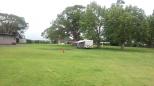 Alstonville Showground - Alstonville: Lots of open spaces for caravans and motorhomes
