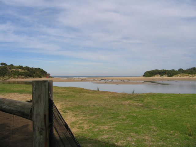 Anglesea Beachfront Family Park - Anglesea: The park is beside the Anglesea River